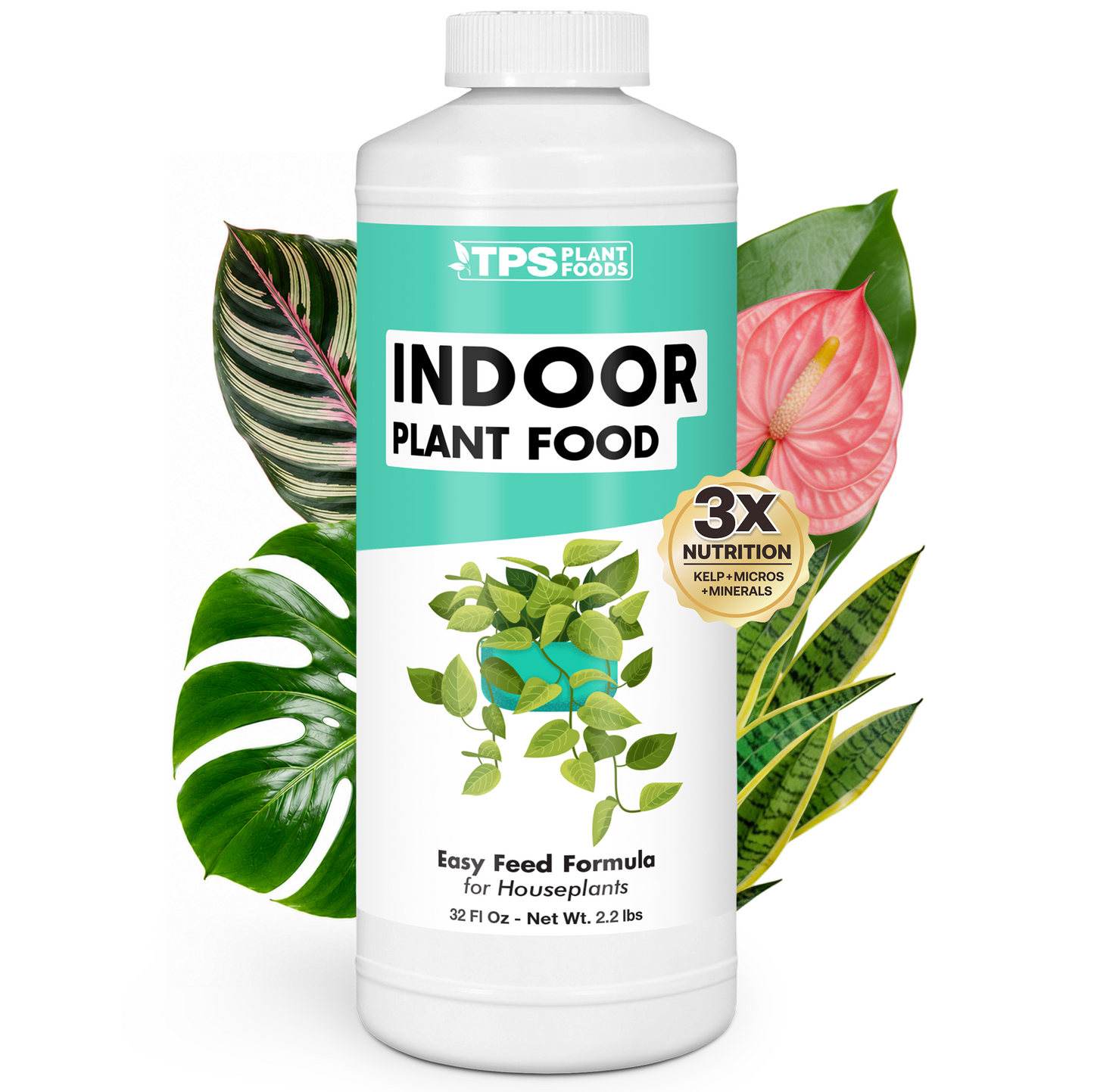 Indoor Plant Food
