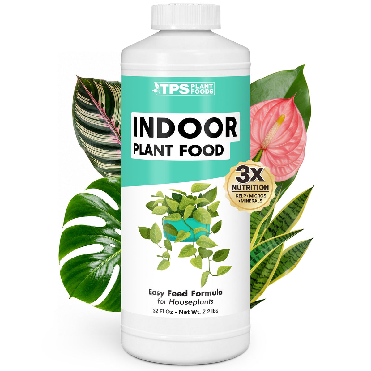 Indoor Plant Food — 32 Ounce