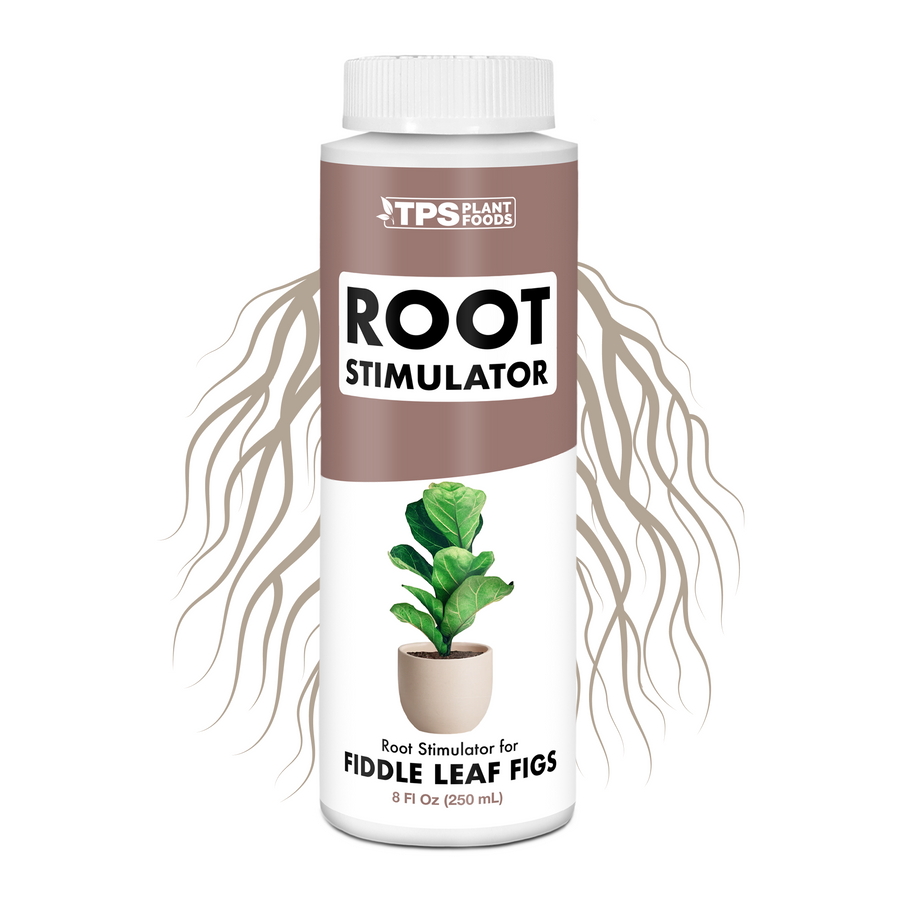 Fig Root Supplement