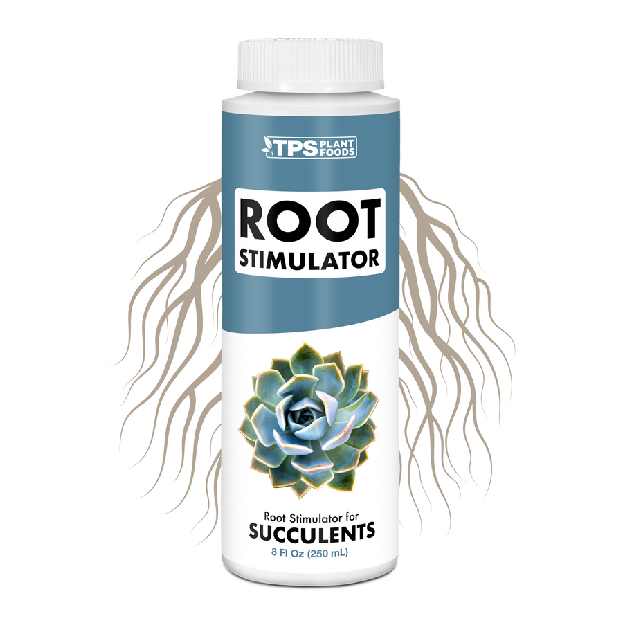 Succulent Root Supplement