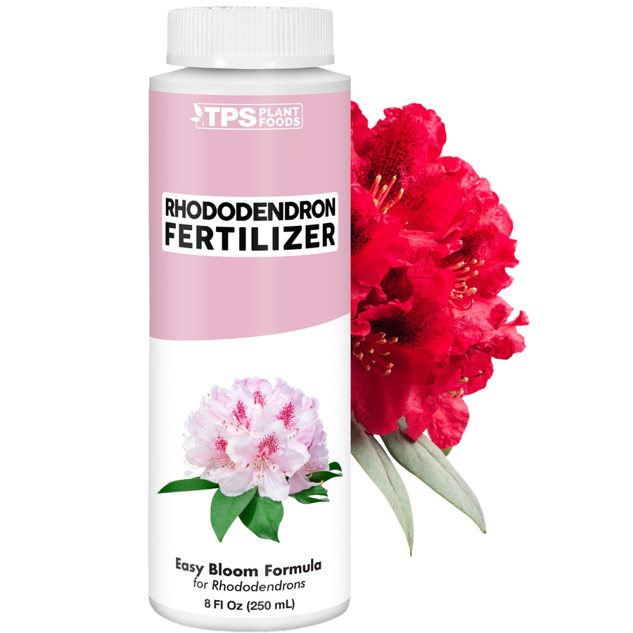 Rhododendron Fertilizer