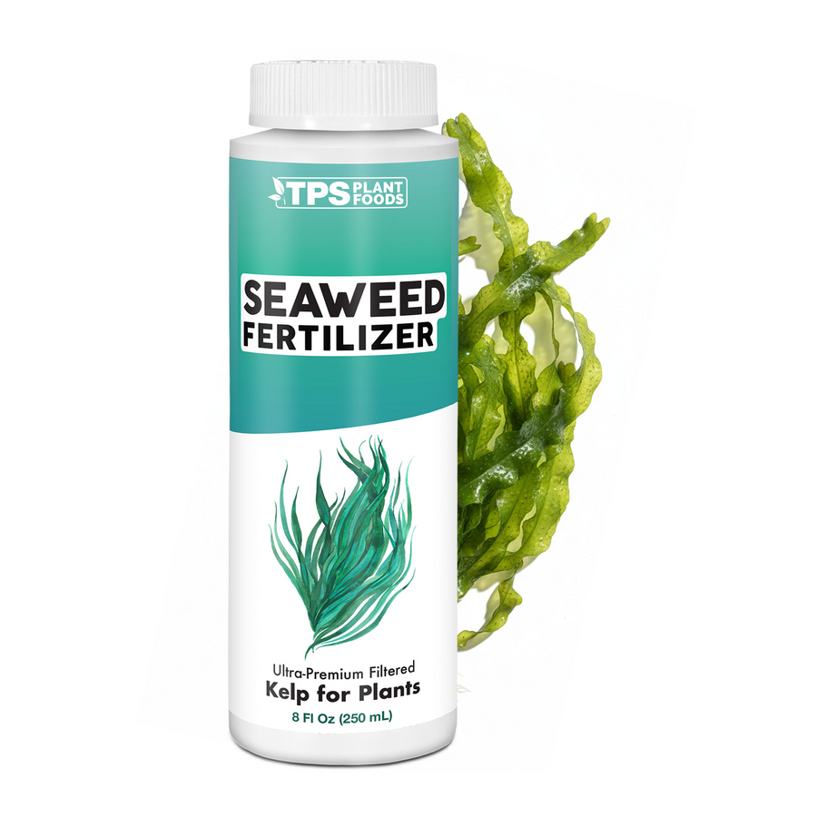 Seaweed Fertilizer