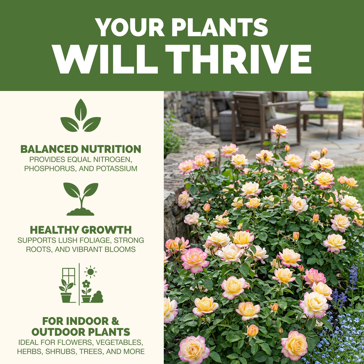 Why plants thrive on TPS 10-10-10 for Plants: fuller, greener growth, vibrant foliage and strong roots [results]