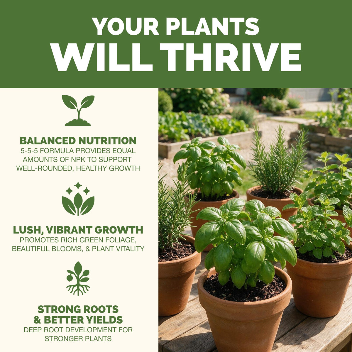 Why plants thrive on TPS 5-5-5 Fertilizer: fuller, greener growth, vibrant foliage and strong roots [results]