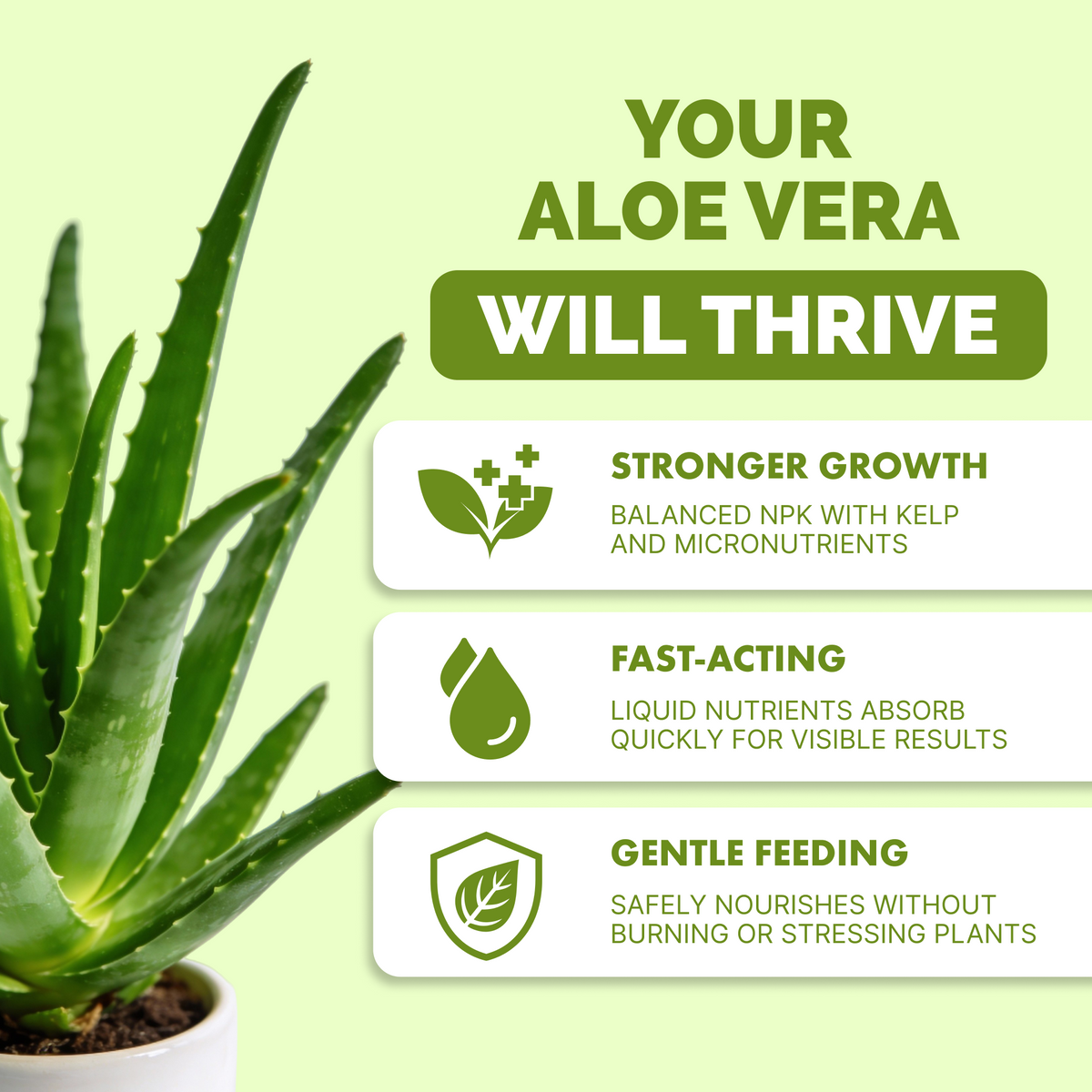 Aloe Vera Fertilizer — slide 2