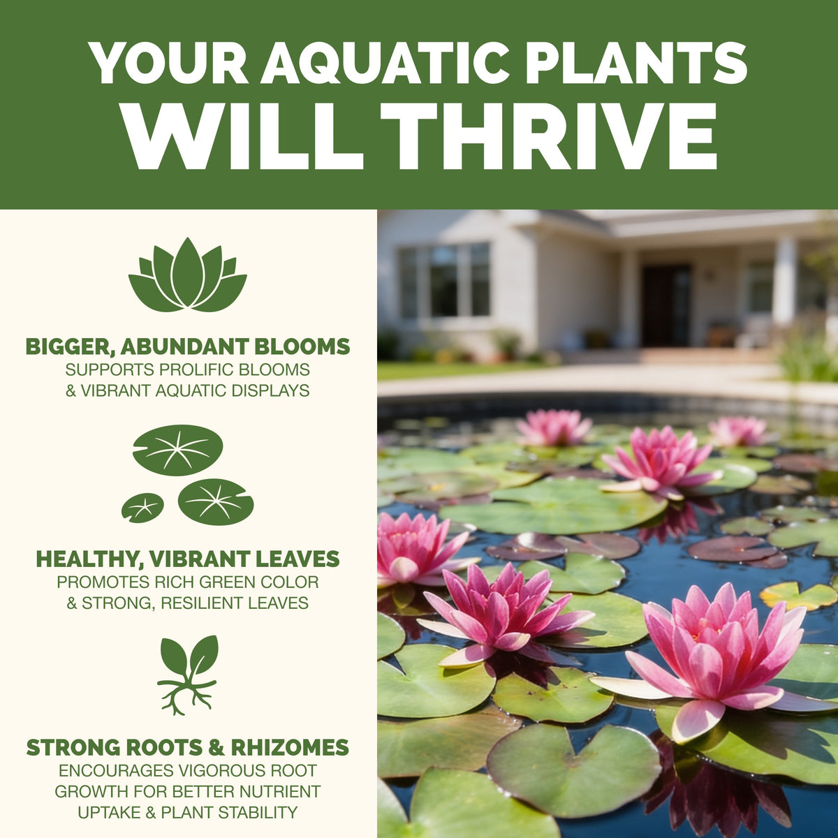 Aquatic Plant Fertilizer — slide 2
