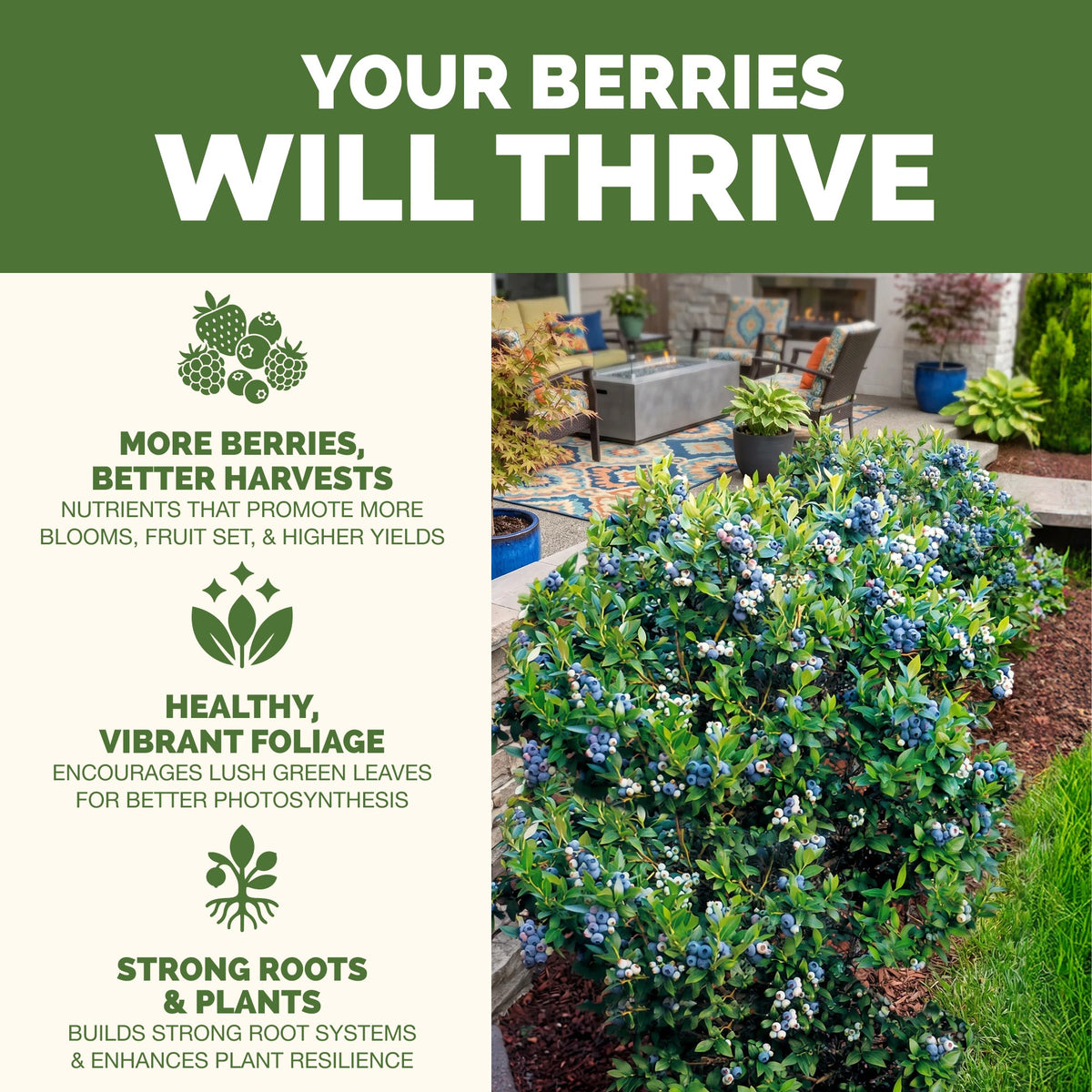 Why berry thrive on TPS Berry Fertilizer: healthier trees and bigger harvests, vibrant foliage and strong roots [results]