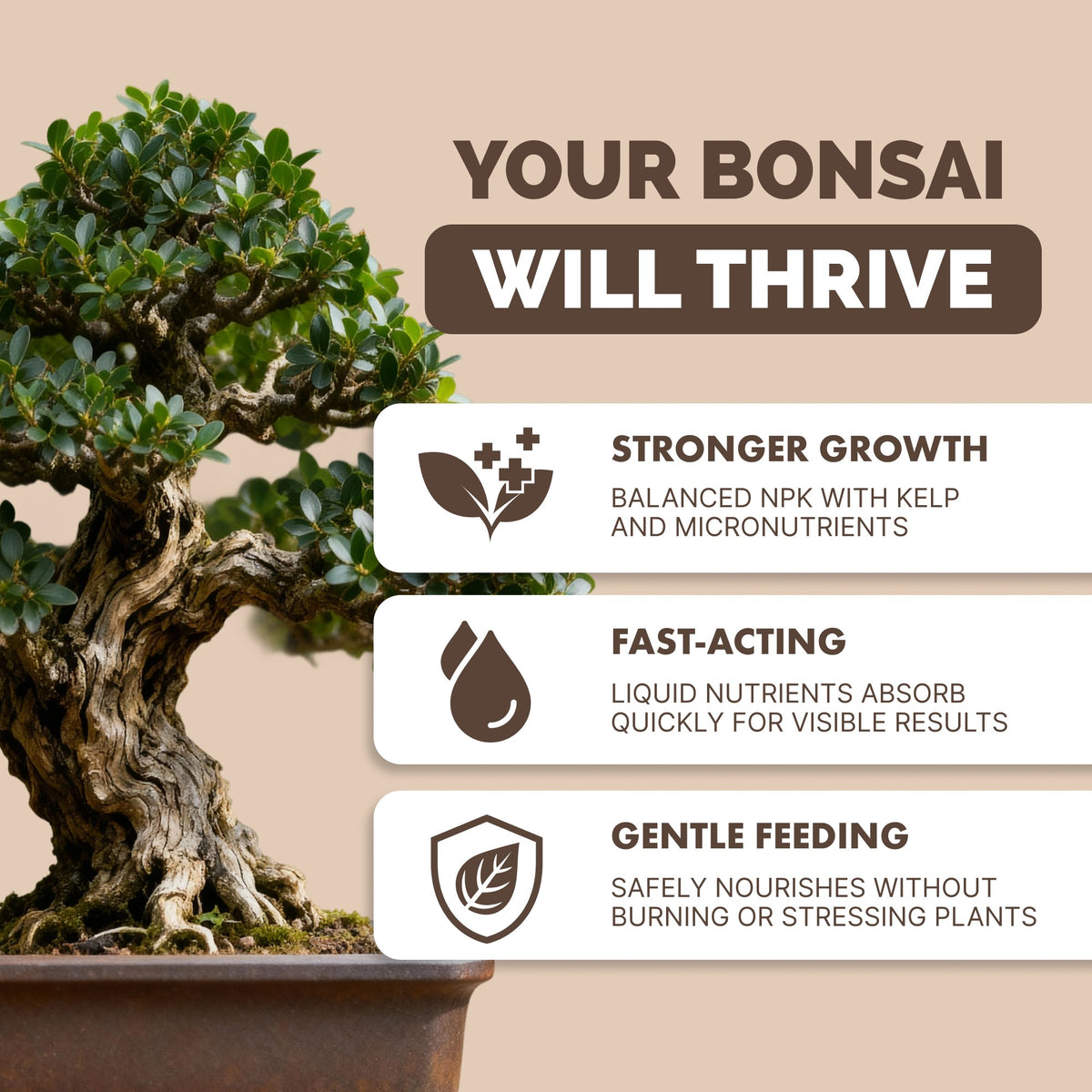 Bonsai Fertilizer — slide 2