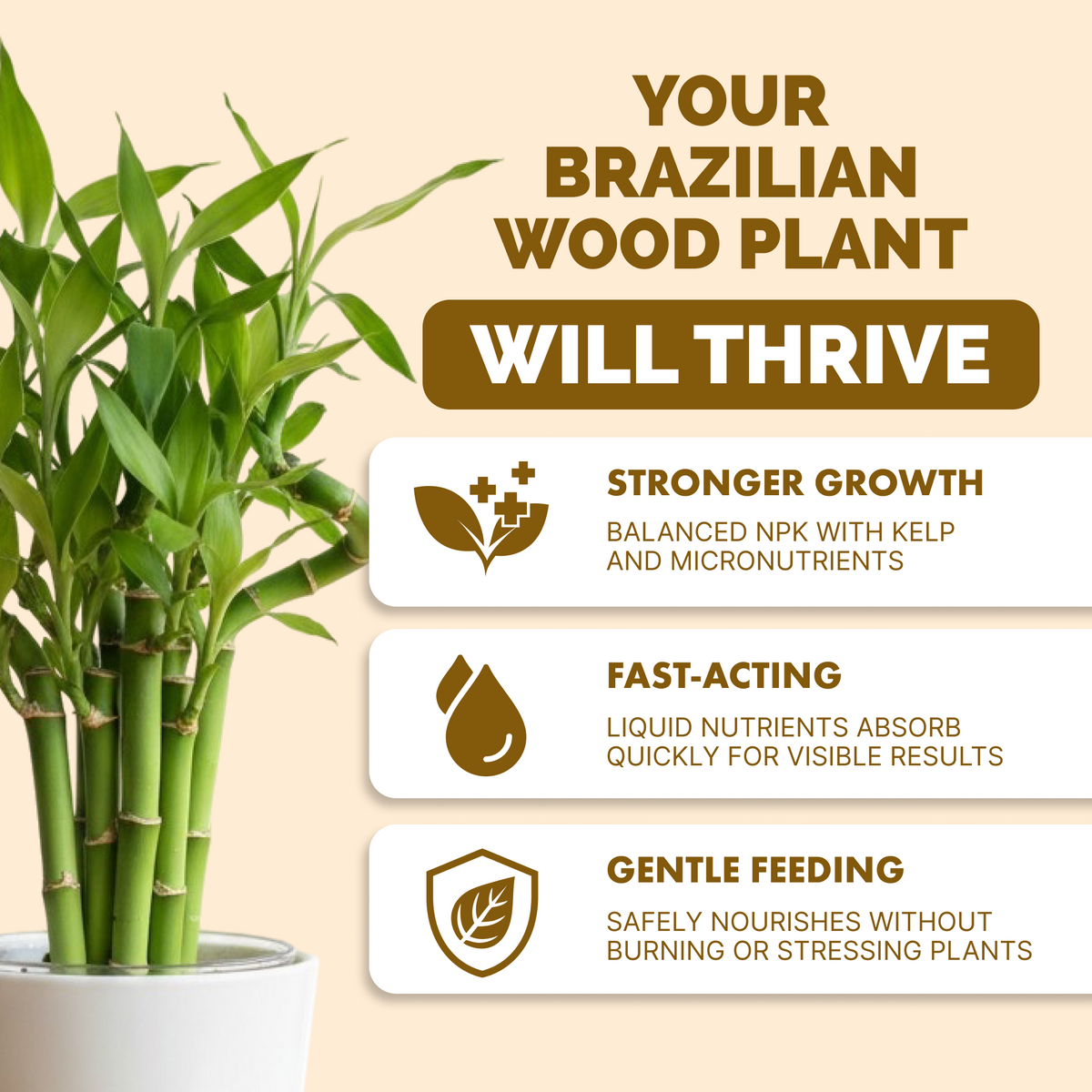 Why plants thrive on TPS Brazilian Wood Plant Food: balanced NPK with kelp, fast-acting liquid, gentle feeding [results]