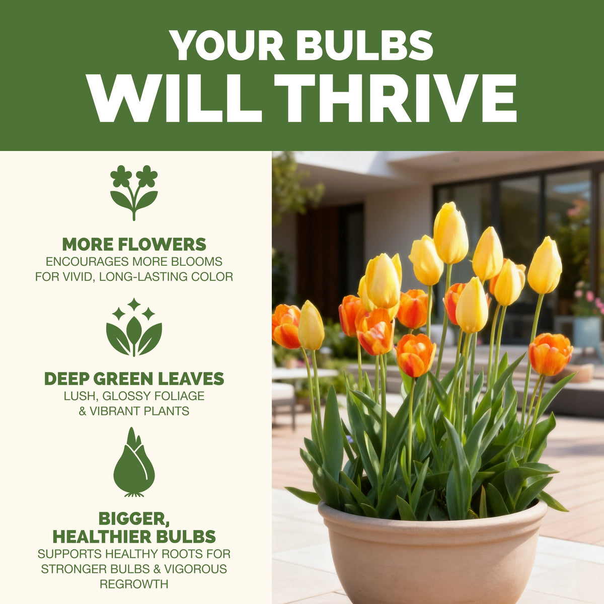 Bulb Fertilizer — slide 2