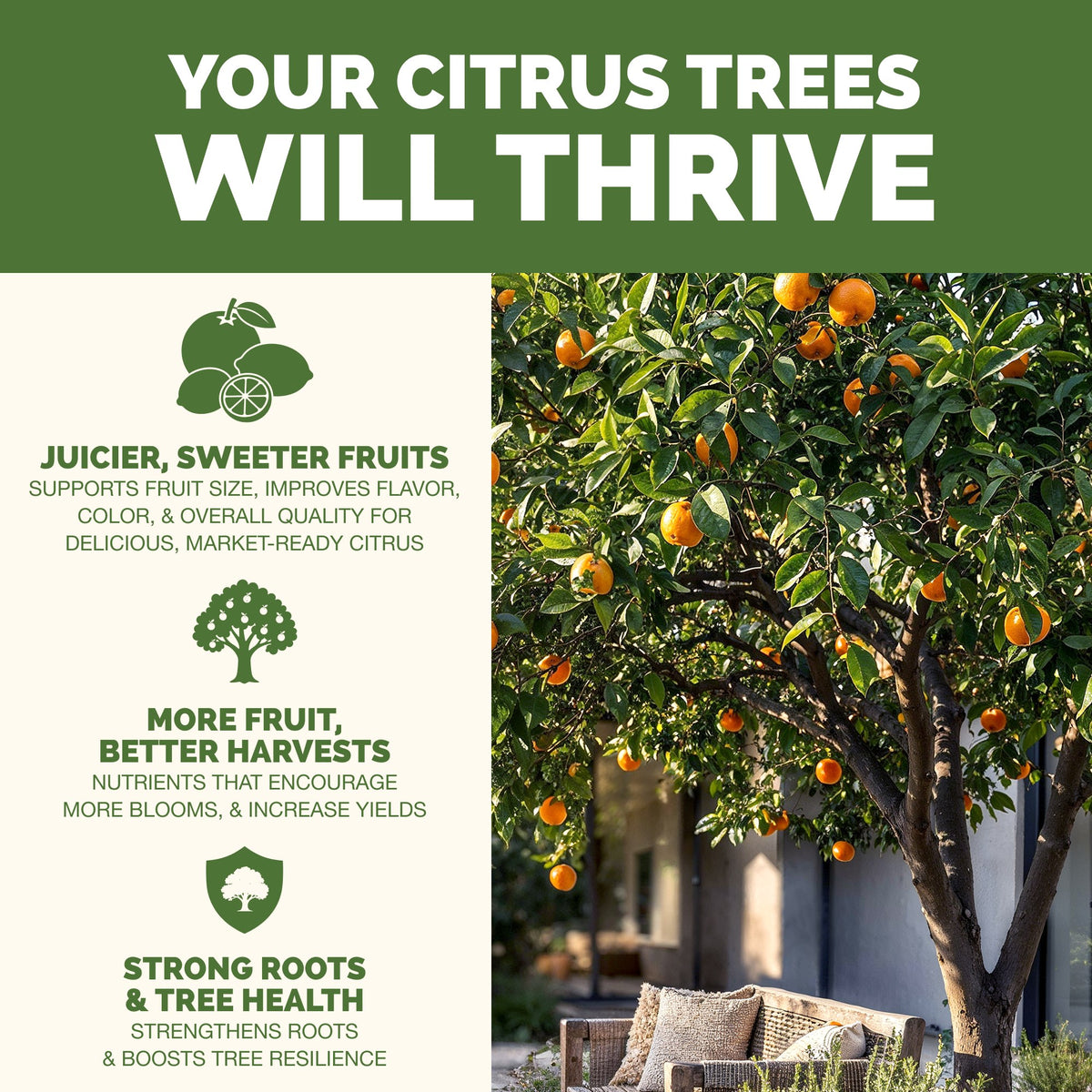 Citrus Fertilizer — slide 2