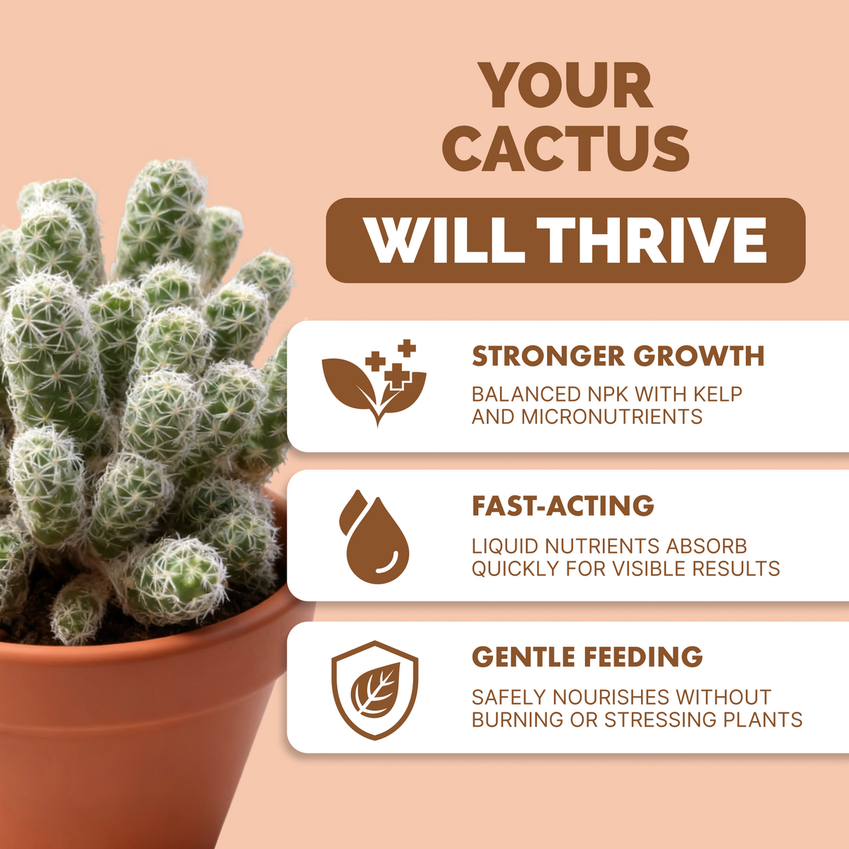 Why cactus thrive on TPS Cactus Fertilizer: balanced NPK with kelp, fast-acting liquid, gentle feeding