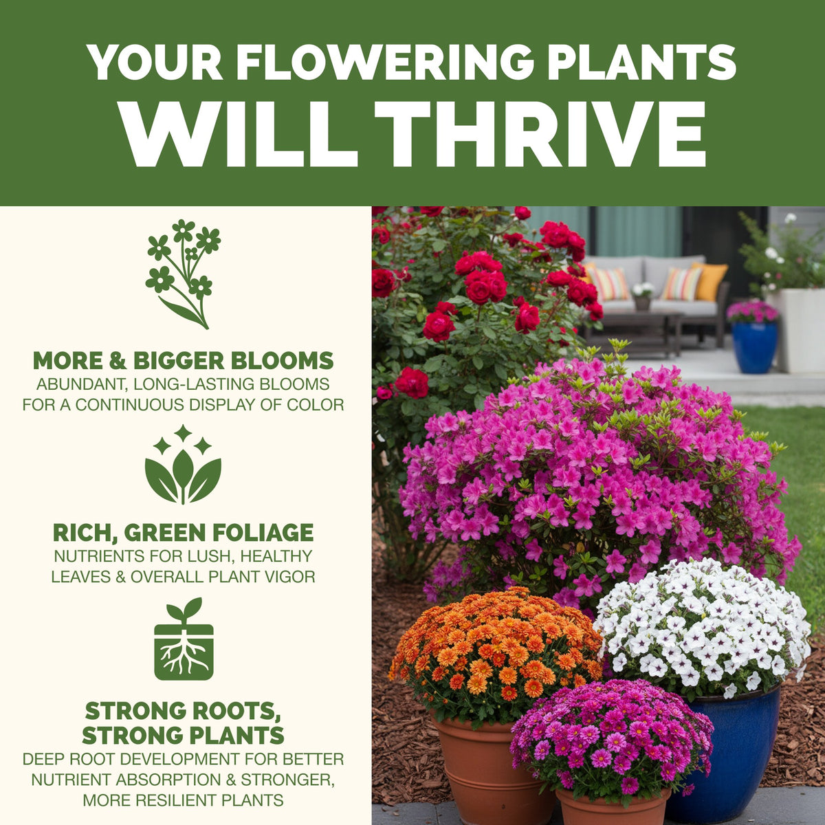 Why flowering plants thrive on TPS Flowering Plant Food: more blooms, vibrant foliage and strong roots [results]