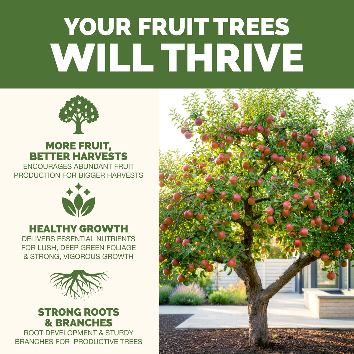 Fruit Tree Fertilizer — slide 2