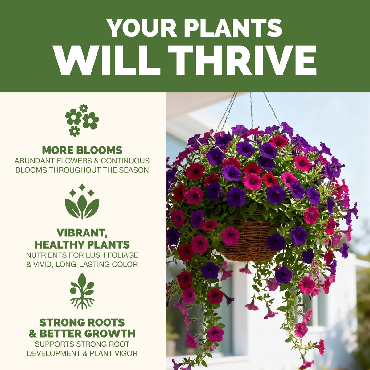 Why plants thrive on TPS Hanging Basket Plant Food: fuller, greener growth, vibrant foliage and strong roots