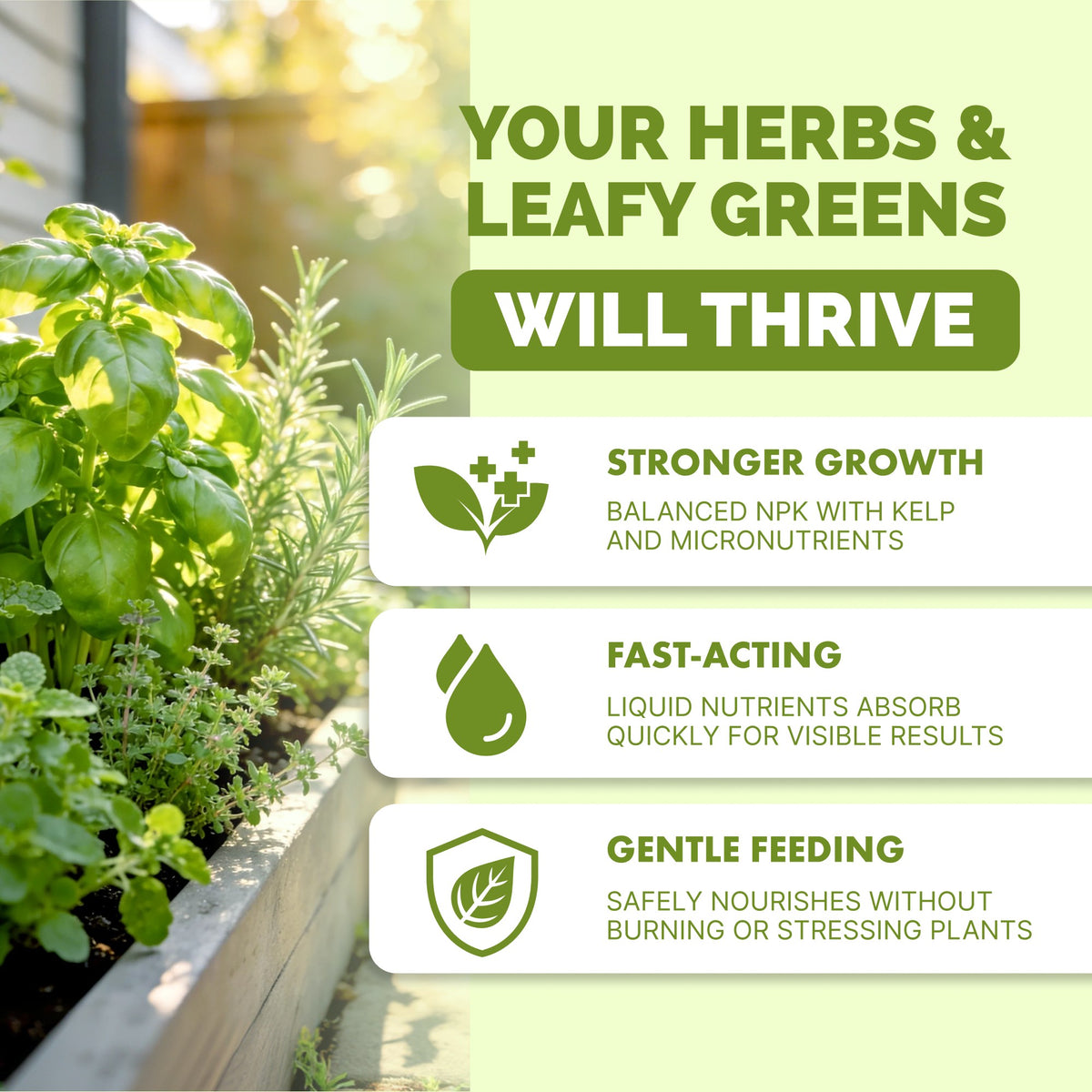 Herbs and Leafy Greens Plant Food — slide 2