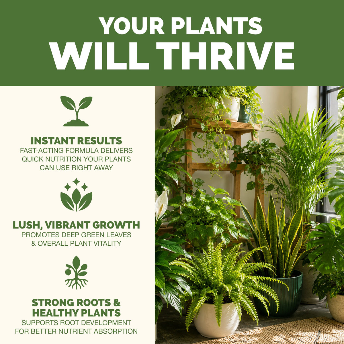 Why plants thrive on TPS Instant Plant Food: fuller, greener growth, vibrant foliage and strong roots [results]