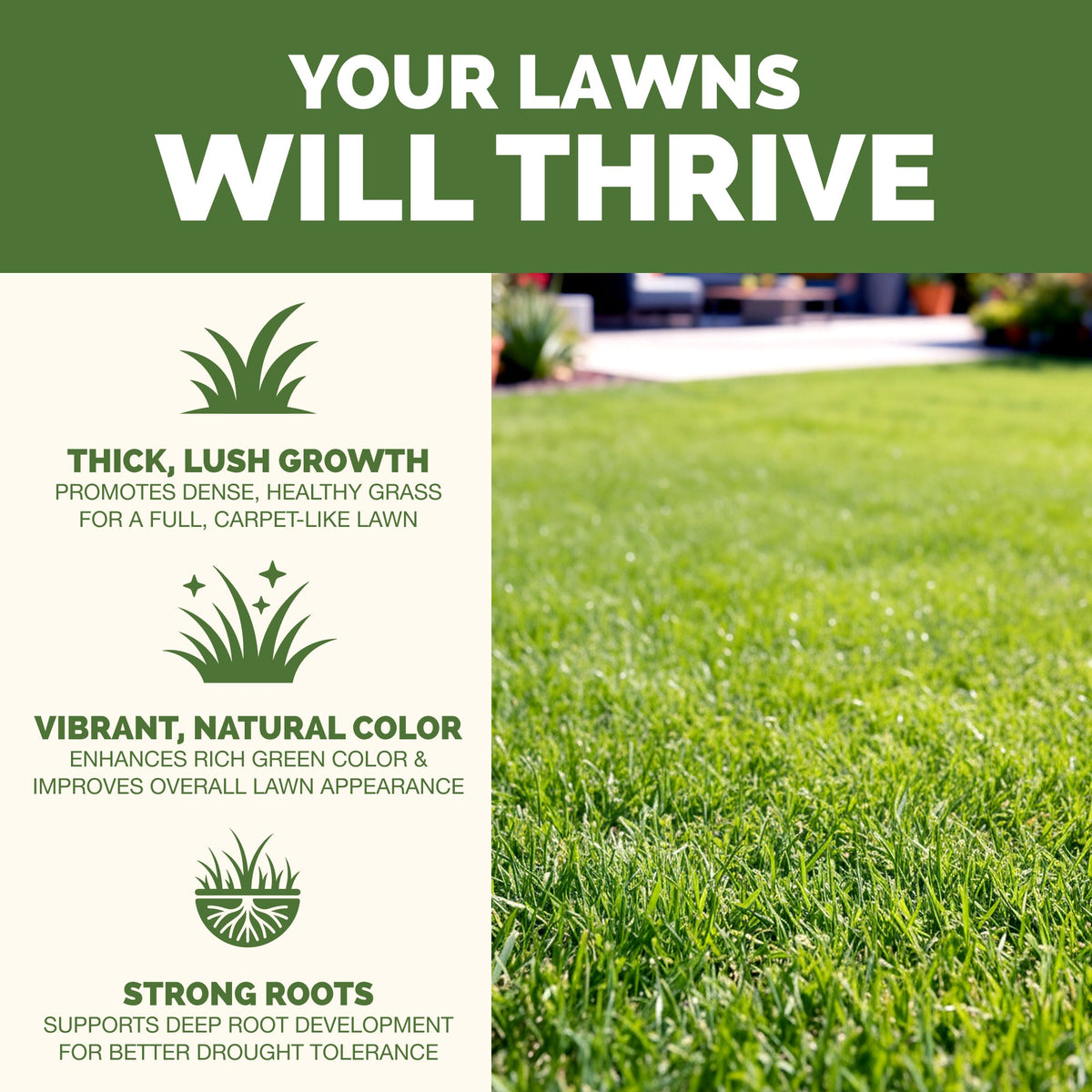 Why lawns thrive on TPS Lawn Fertilizer: thicker, greener turf, vibrant foliage and strong roots