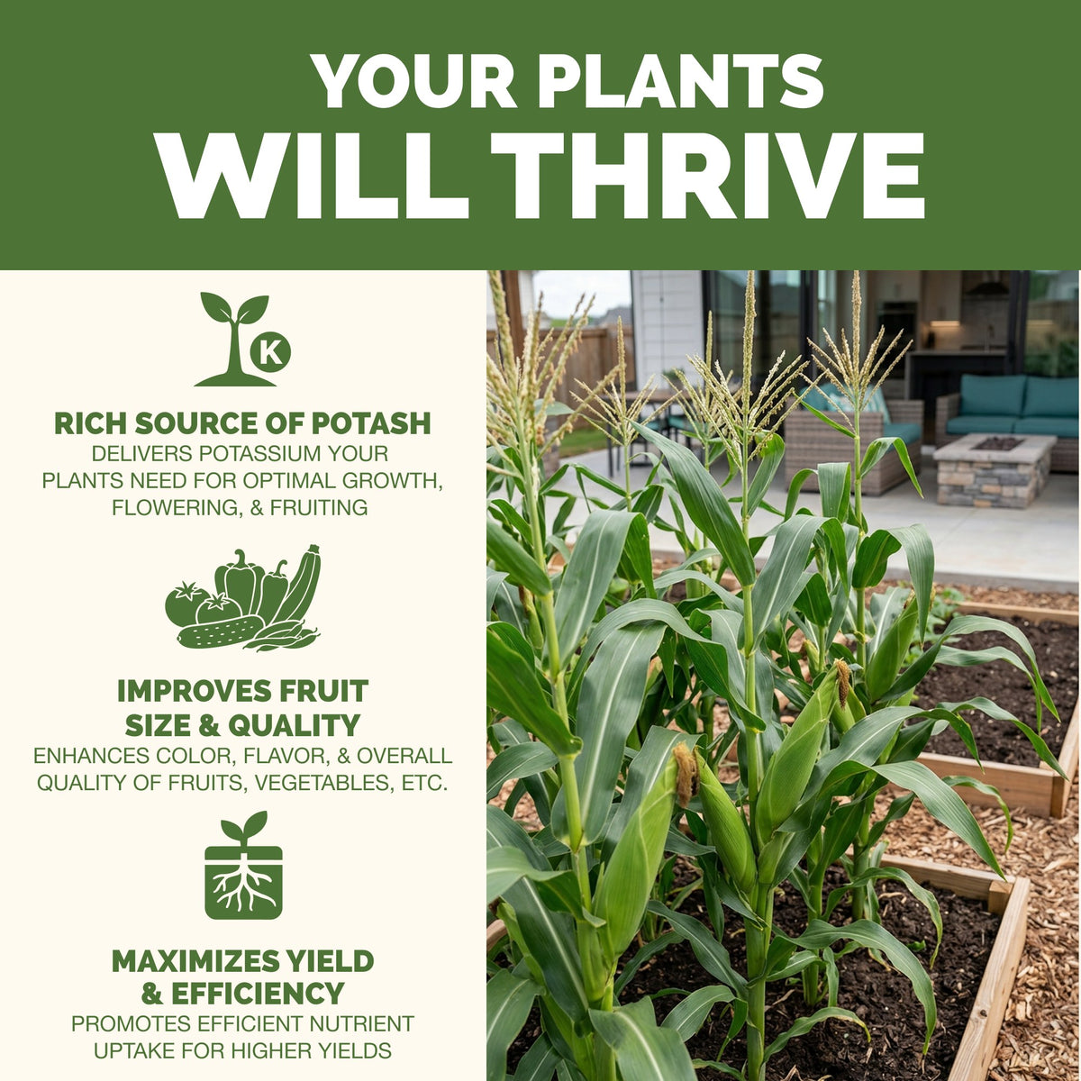 Why plants thrive on TPS Muriate Of Potash: fuller, greener growth, vibrant foliage and strong roots [results]