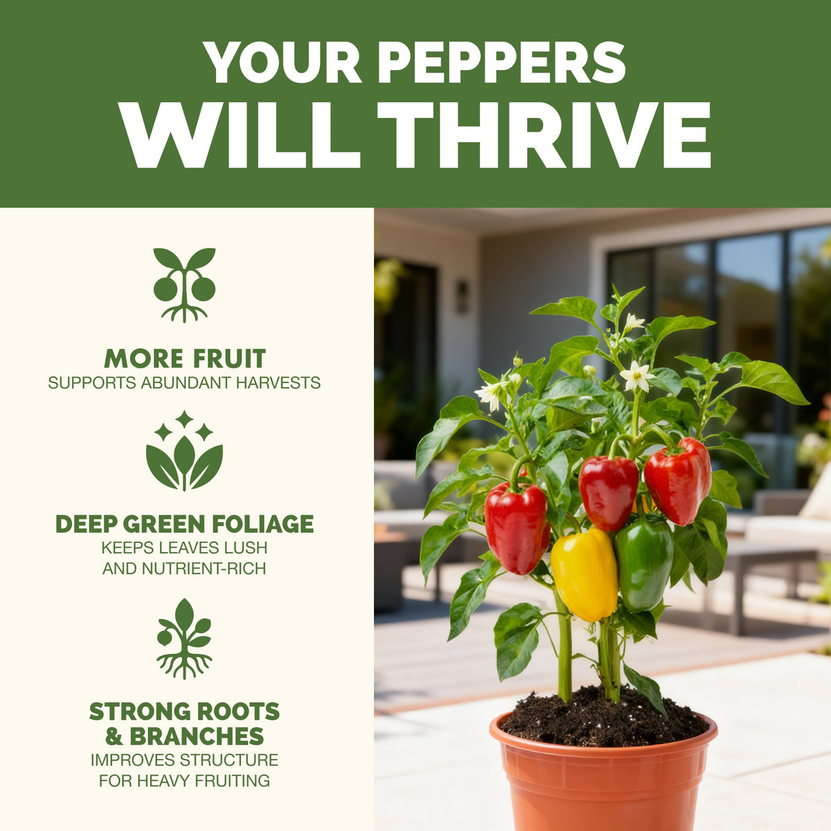 Why pepper thrive on TPS Pepper Fertilizer: bigger harvests, vibrant foliage and strong roots
