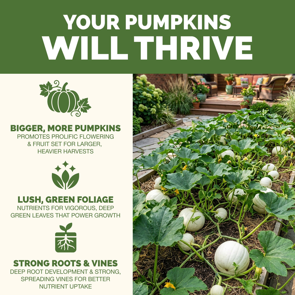 Why pumpkin thrive on TPS Pumpkin Fertilizer: bigger harvests, vibrant foliage and strong roots