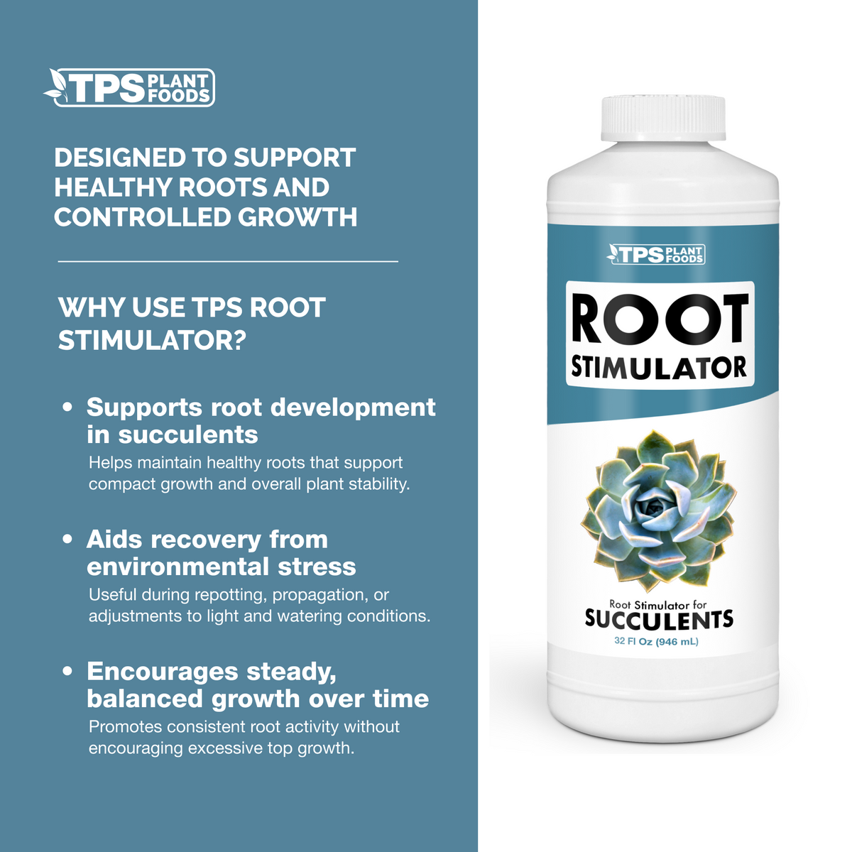 Succulent Root Supplement - 32 Ounce