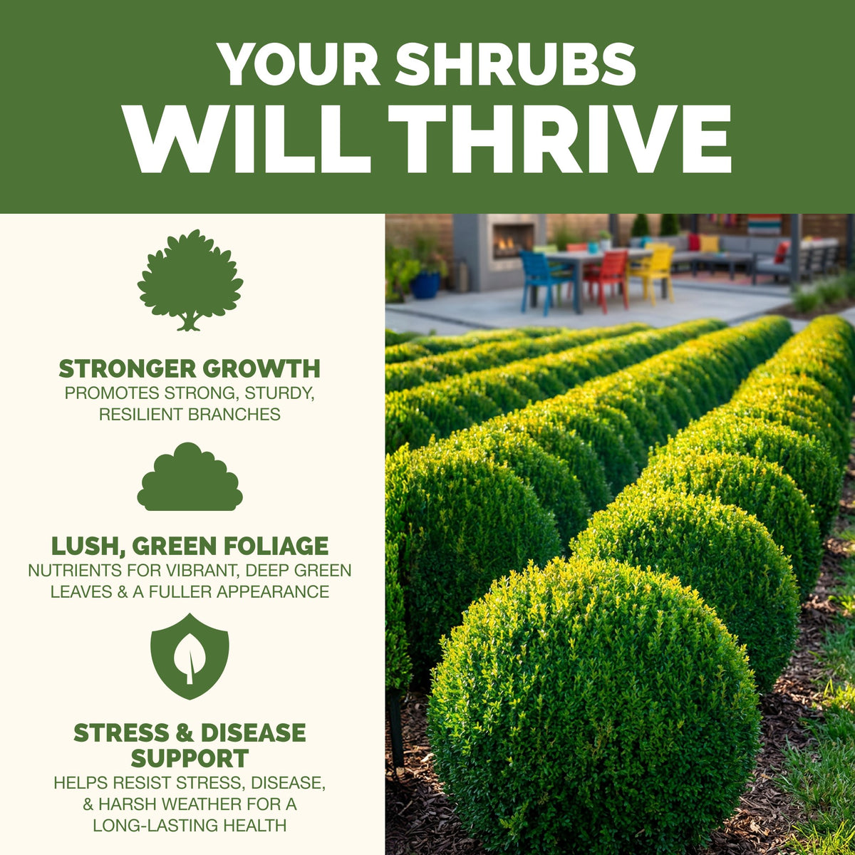 Why shrubs thrive on TPS Shrub Fertilizer: fuller, greener growth, vibrant foliage and strong roots