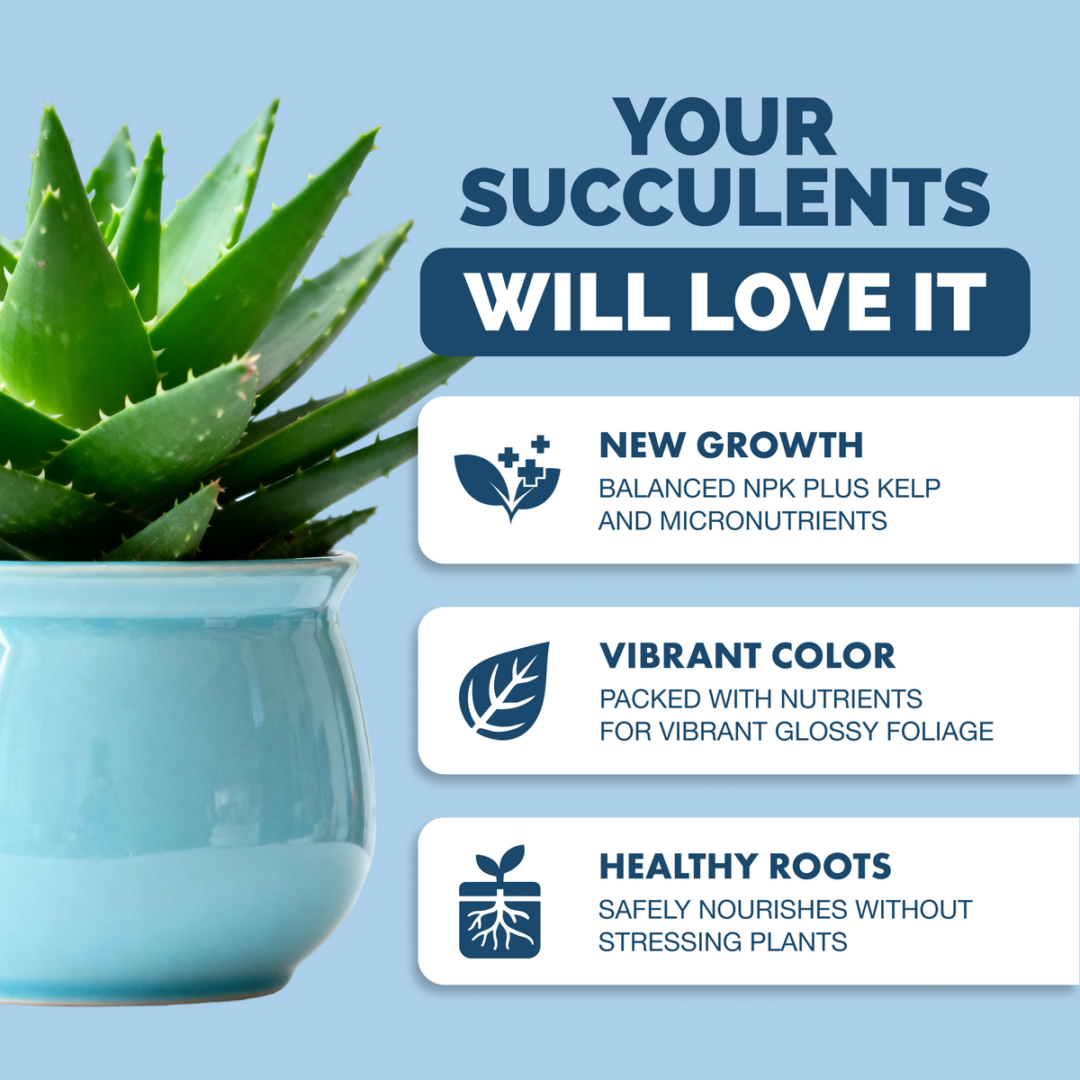 Succulent Plant Food — slide 2
