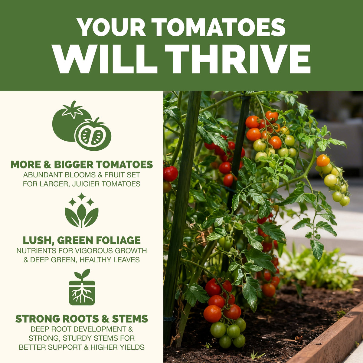 Tomato Fertilizer — slide 2