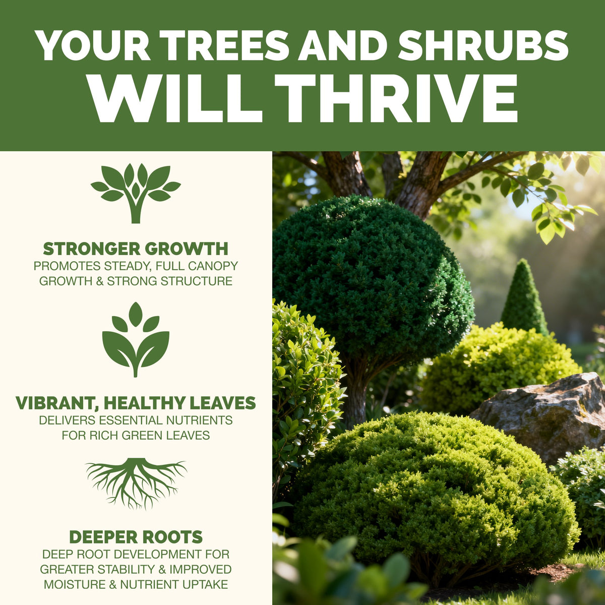 Tree And Shrub Fertilizer — slide 2