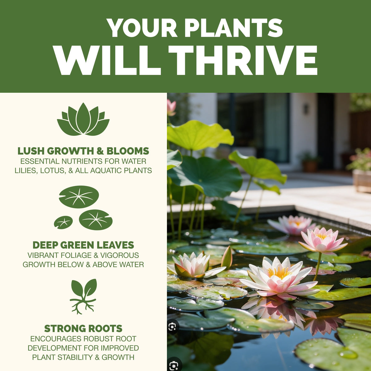 Your plants will thrive: lush growth and blooms, deep green leaves and strong roots, beside a pond of water lilies [results]