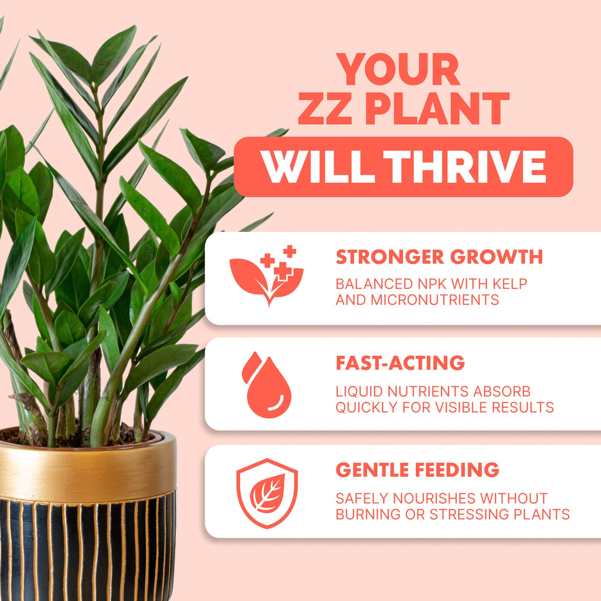 ZZ Plant Fertilizer — slide 2