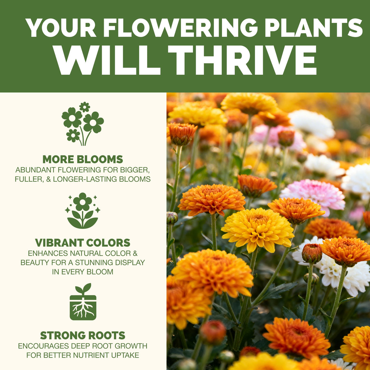 Bloom Fertilizer — slide 2
