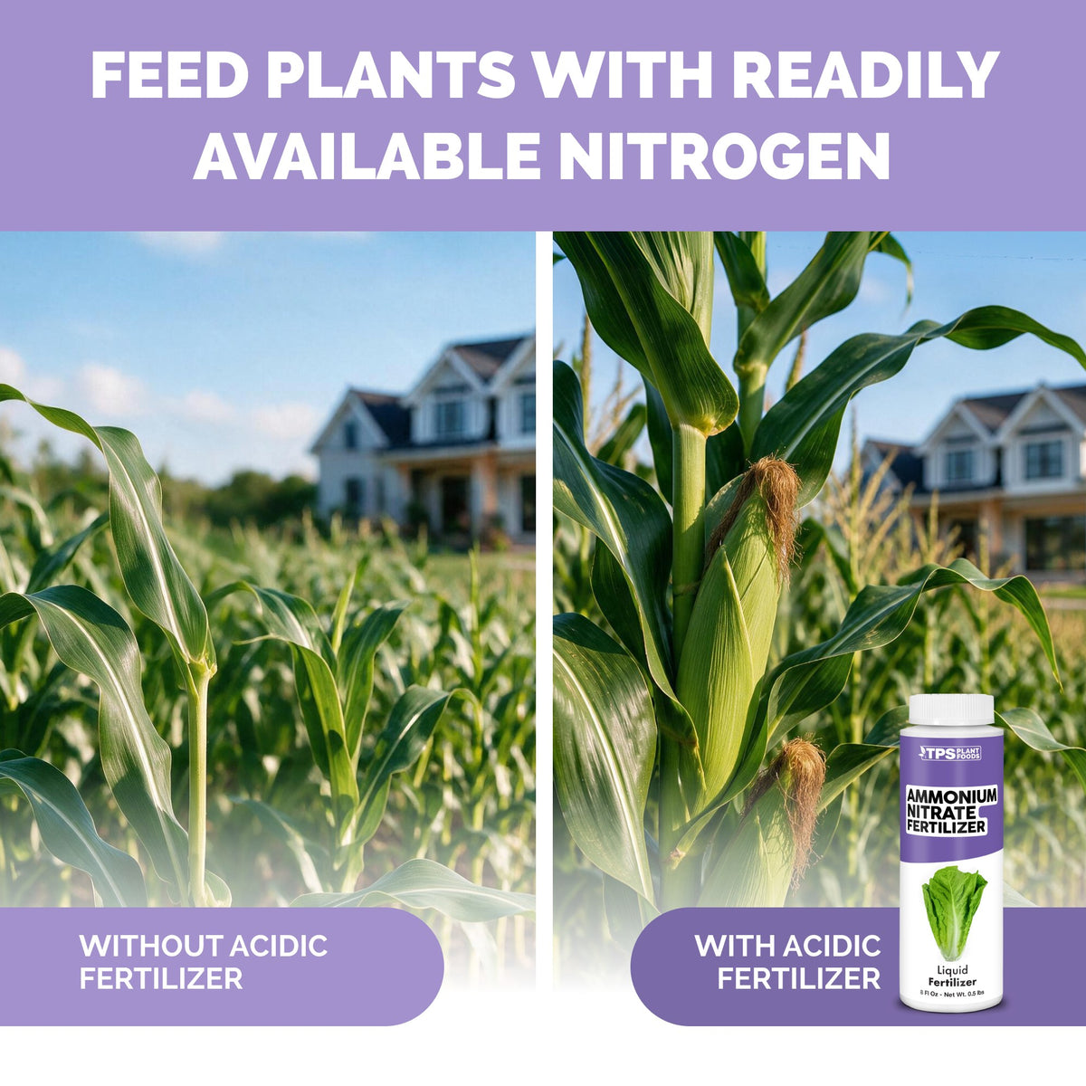 TPS Ammonium Nitrate Fertilizer vs other fertilizers: gentle 15-0-0 NPK, tailored nutrition for plants, kelp and micronutrients [other]