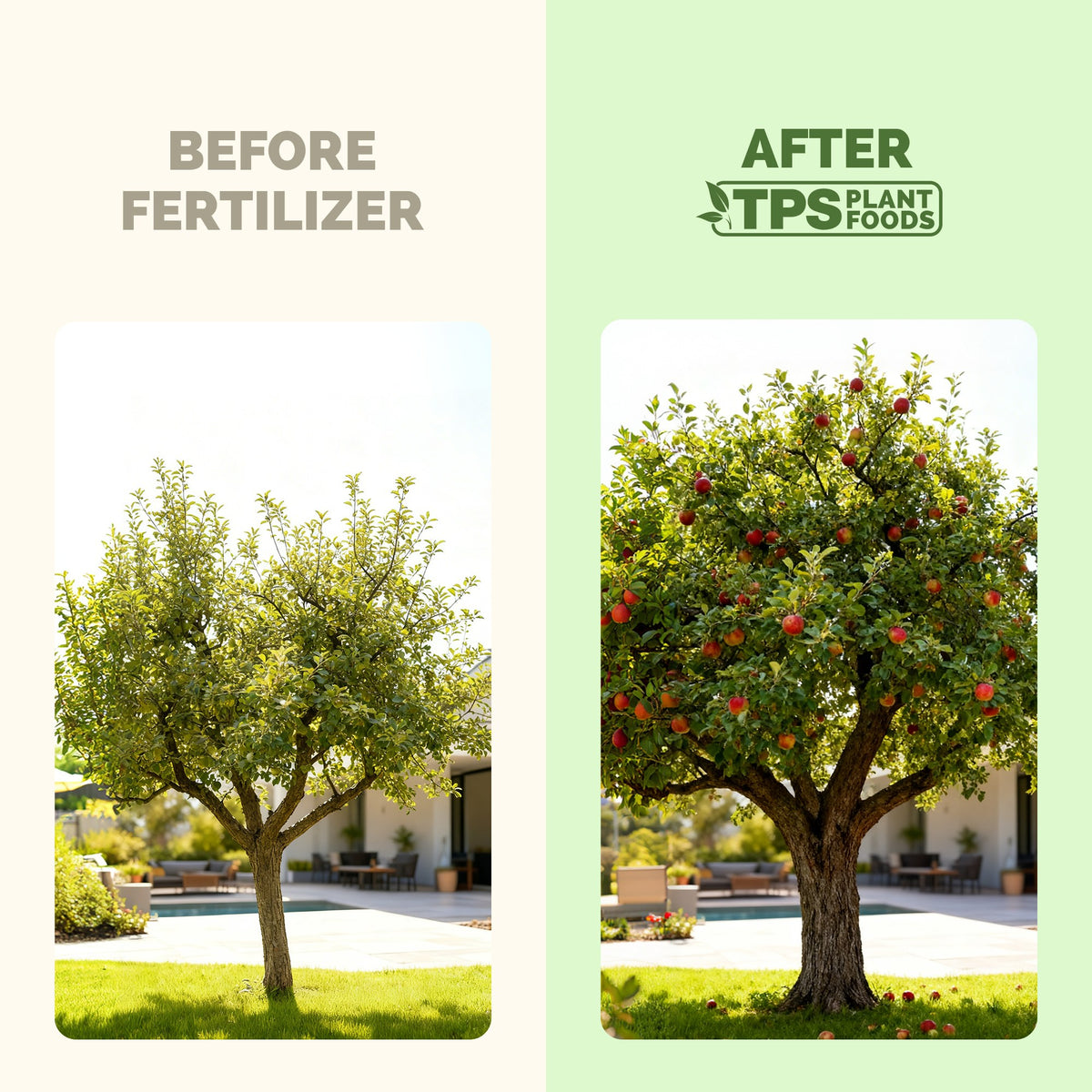 Apple Tree Fertilizer — slide 3