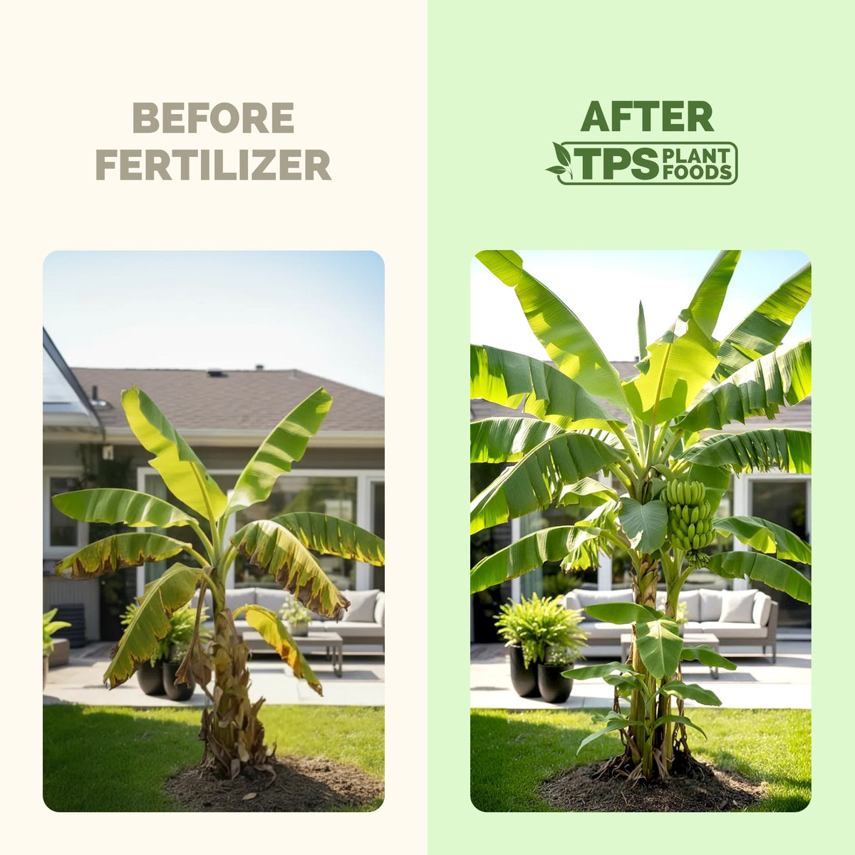 Banana Tree Fertilizer — slide 3