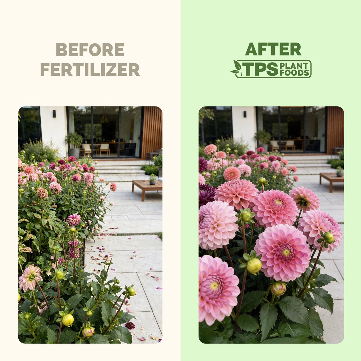 Bloom Fertilizer — slide 3