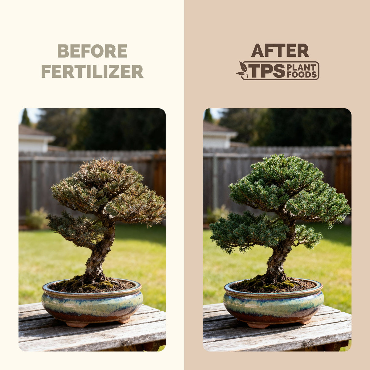 Bonsai Fertilizer — slide 3