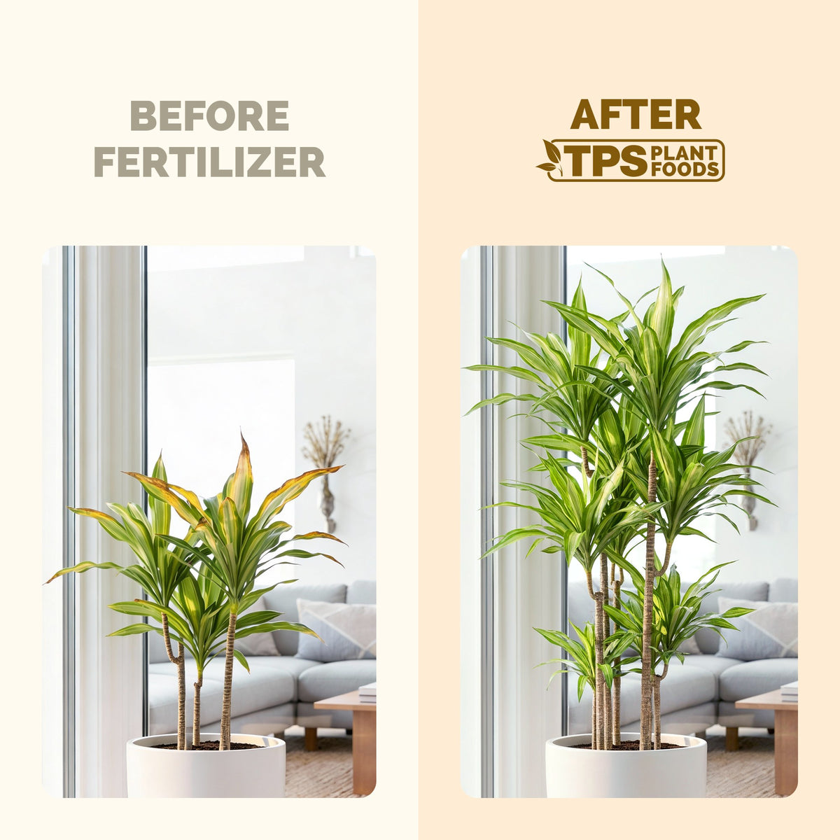 TPS Brazilian Wood Plant Food vs other fertilizers: gentle 1-0.5-3 NPK, tailored nutrition for plants, kelp and micronutrients [results]
