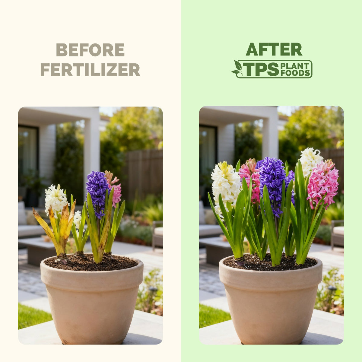 Bulb Fertilizer — slide 3
