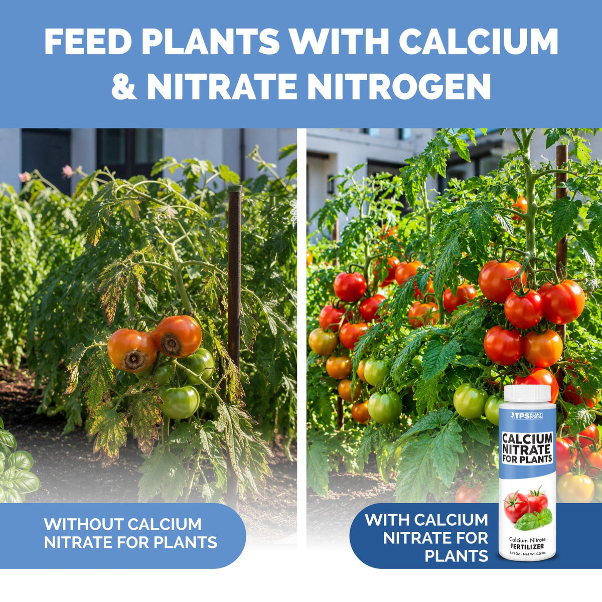 Calcium Nitrate — slide 3