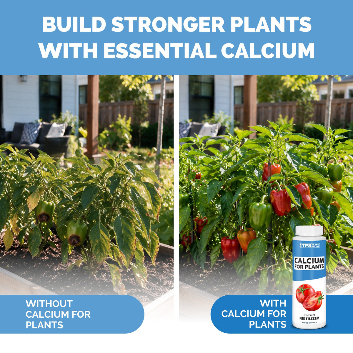 Calcium for Plants — slide 3
