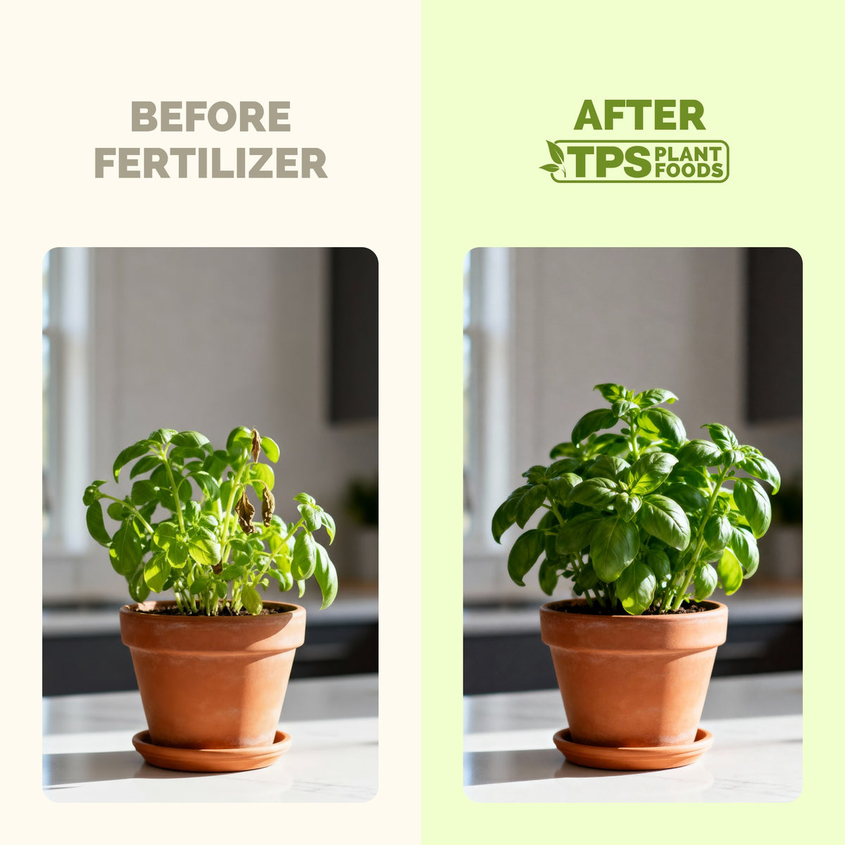 Herbs and Leafy Greens Plant Food — slide 3