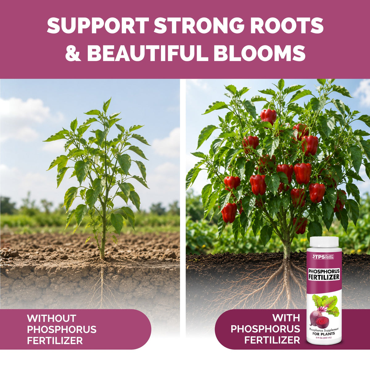 TPS Phosphorus Fertilizer vs other fertilizers: gentle 0-10-0 NPK, tailored nutrition for plants, kelp and micronutrients [other]