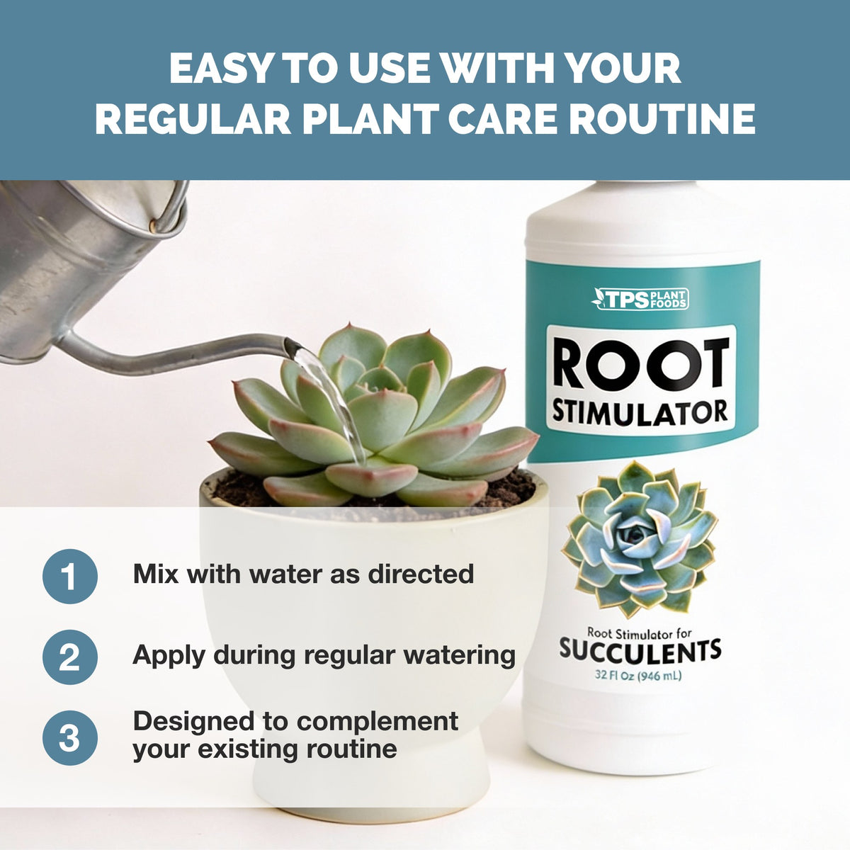 Succulent Root Supplement - 32 Ounce