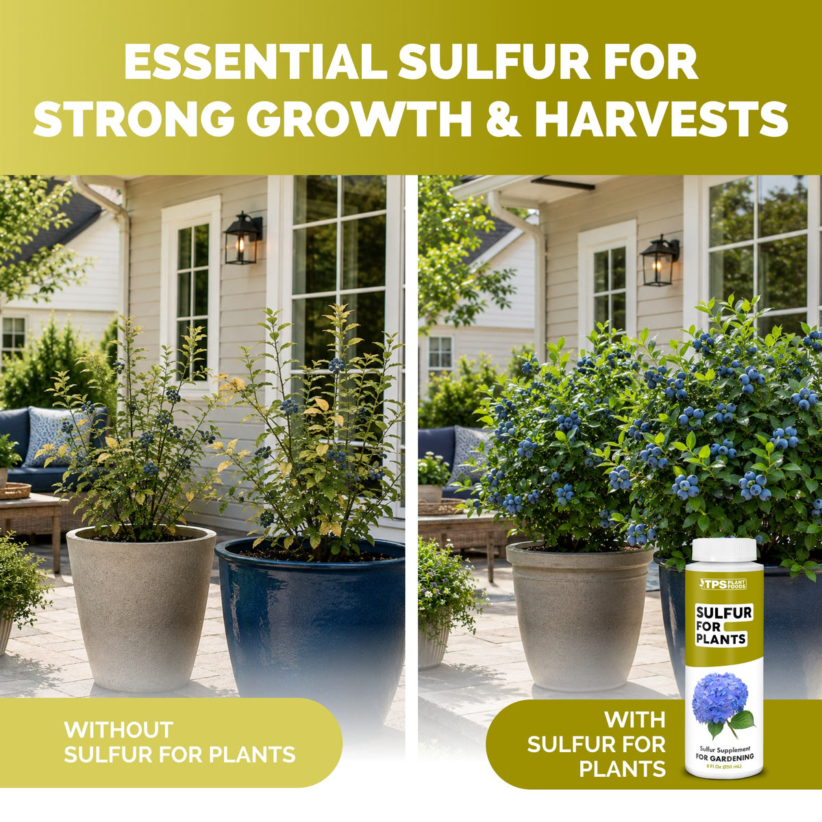 Sulfur for Plants — slide 3