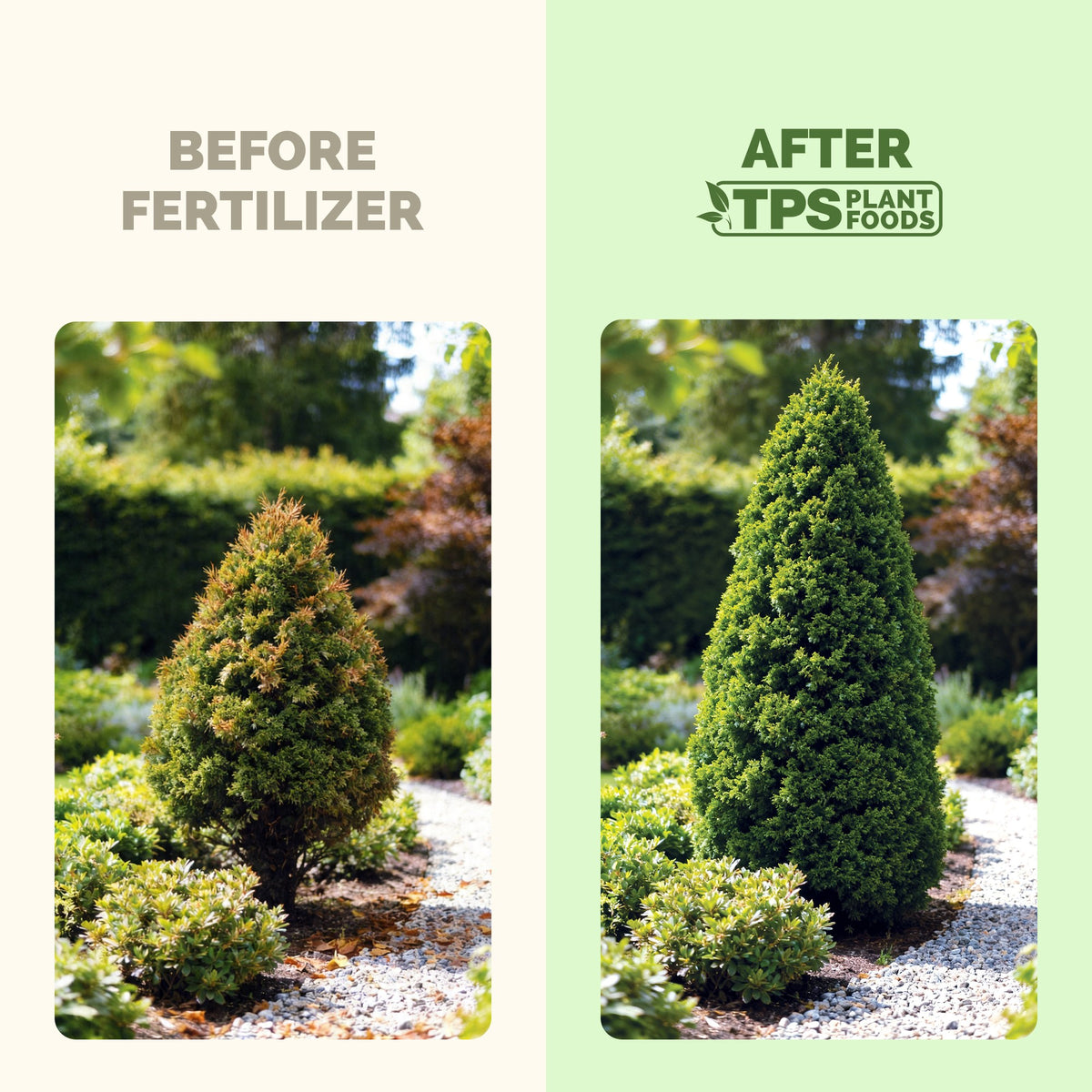 Tree And Shrub Fertilizer — slide 3