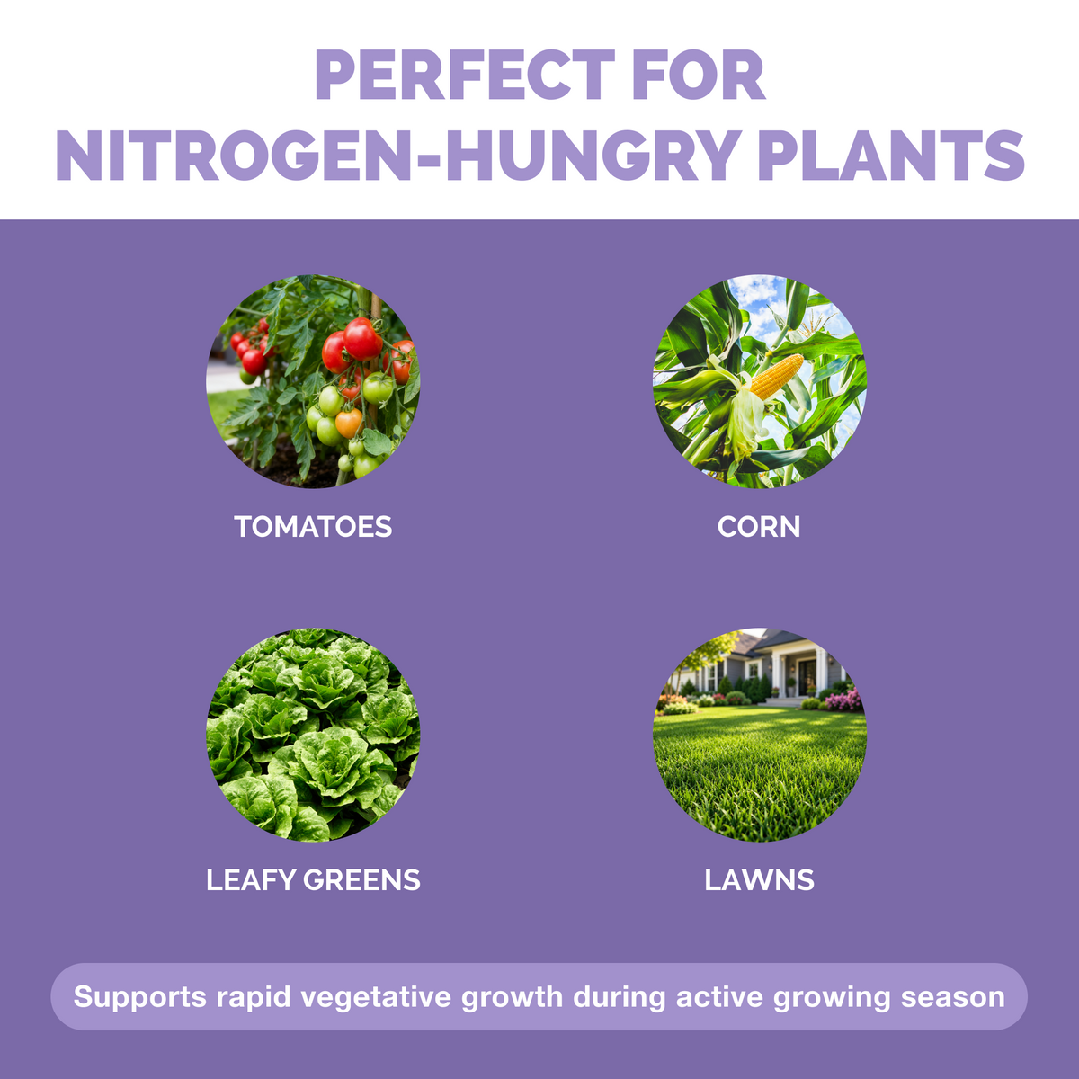 Plants before and after TPS Ammonium Nitrate Fertilizer: fuller, greener growth [other]