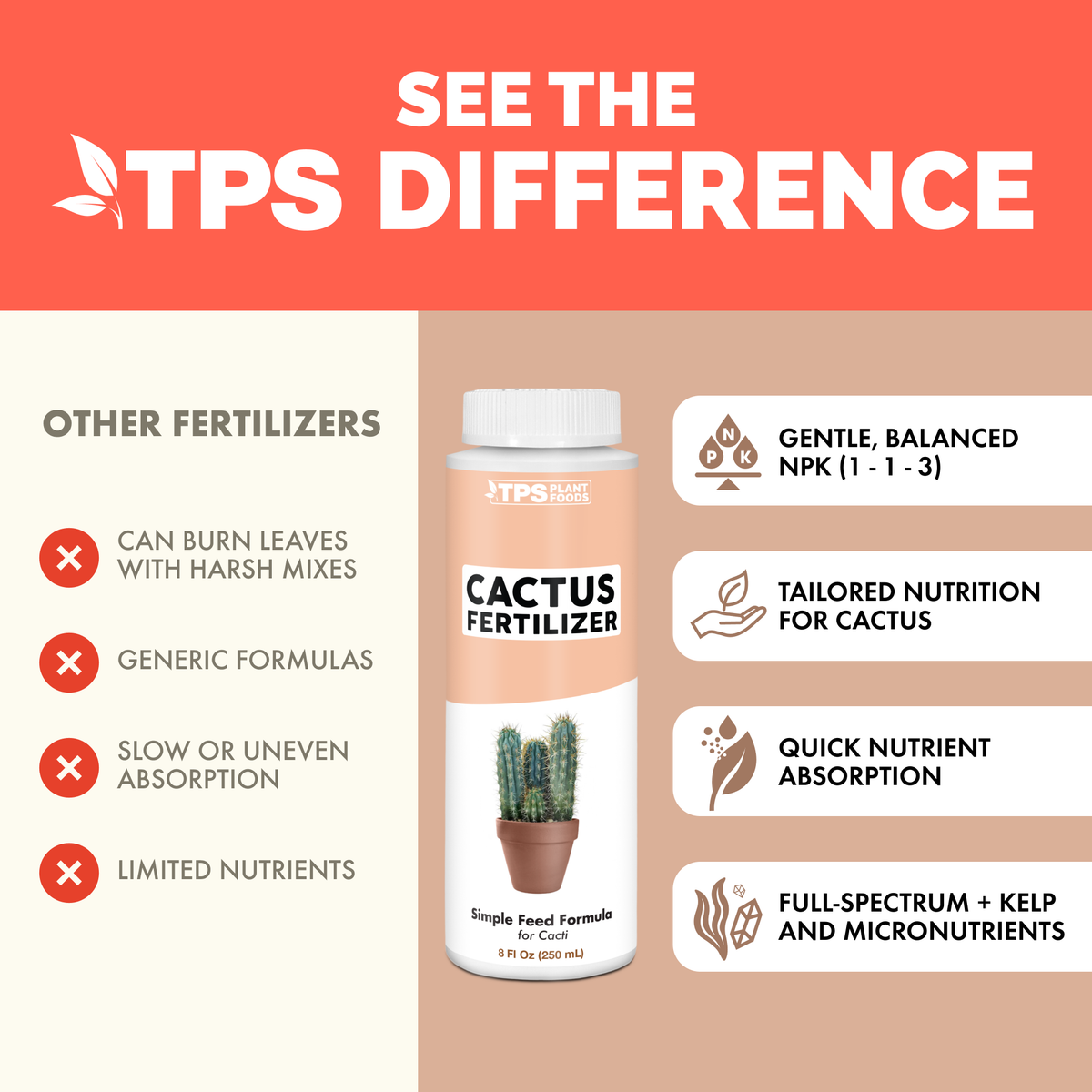 Cactus before and after TPS Cactus Fertilizer: healthier, more vigorous plants