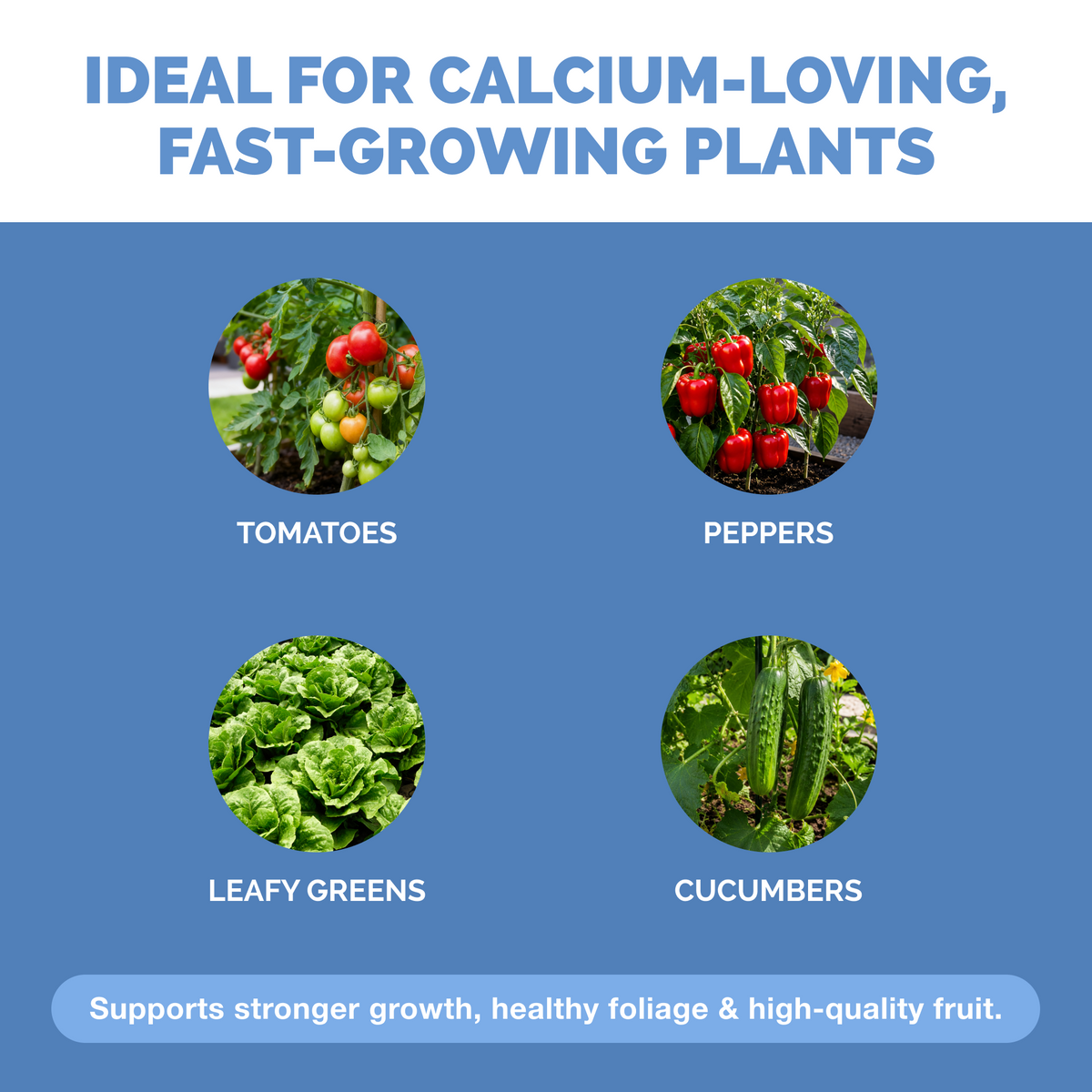 Calcium Nitrate — slide 4